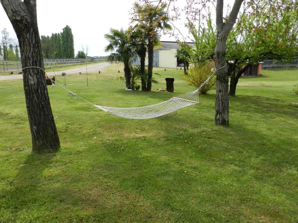 Agriturismo Zio Michele Isola della Scala Ngoại thất bức ảnh